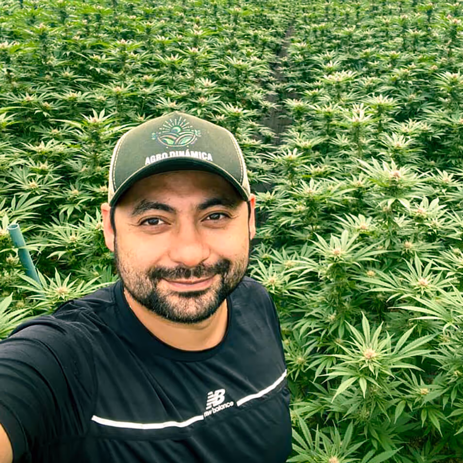 David Fernando Ramírez Rodríguez, Ingeniero Agropecuario, eslecialista en Diseño de Sistemas Productivos de Cannabis a gran escala